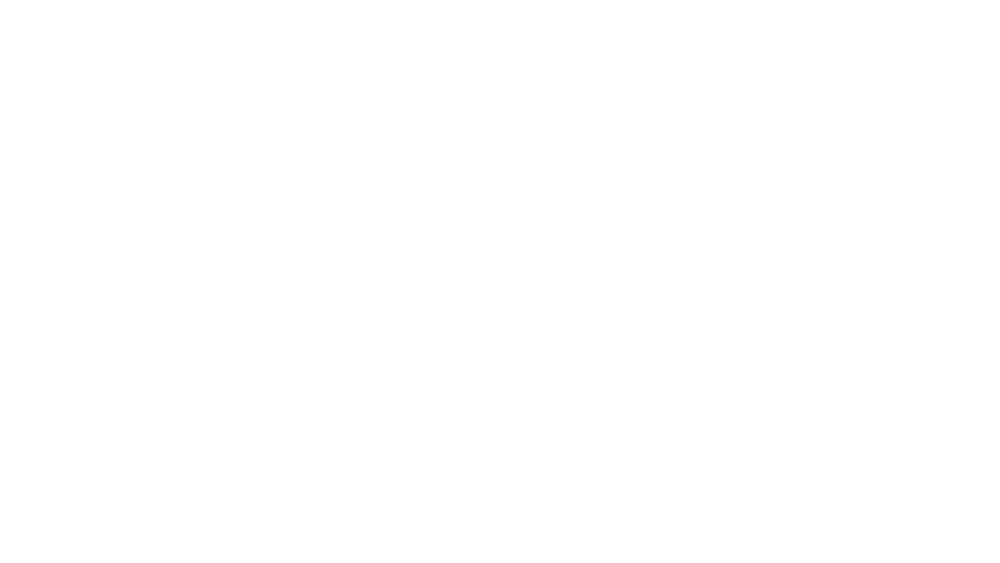 Acubiz_Logo
